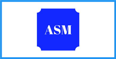 ASM.JS