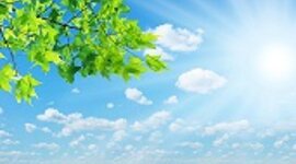 Timeline: Космическая роль зелёных растений: история изучения