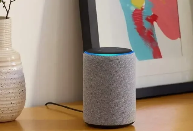 Echo smart speaker- Amazon