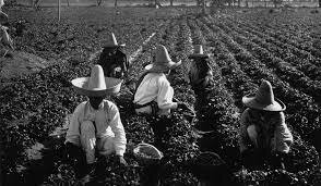 Ley Agraria.