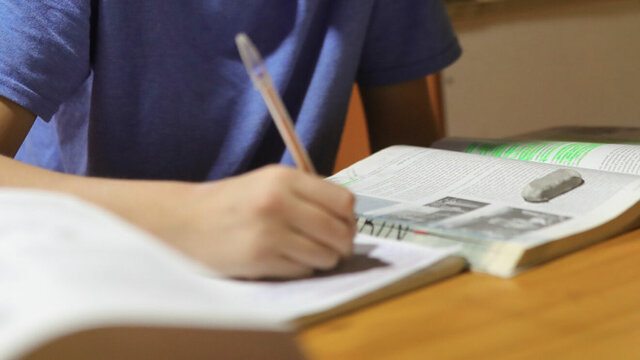 Programa de Becas para la Educación Superior