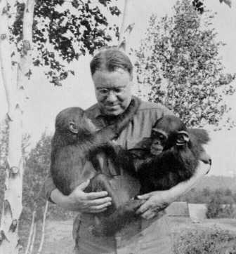 Mecanismos autorreguladores