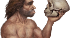 Timeline: Prehistoria