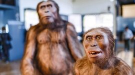 Timeline: Proyecto Quimestral Sociales