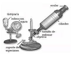 El microscopio compuesto diseñado
