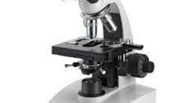 Timeline: Tipos de microscopios