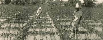 Modifica el Art. 27 Constitucional