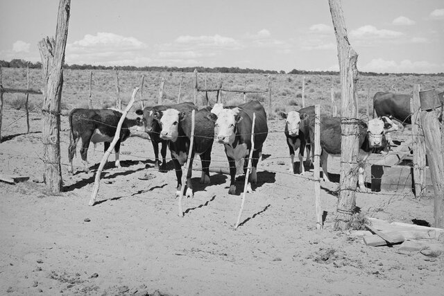First Mexican-United States Boarder Fence