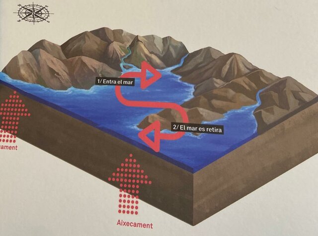 EOCÈ INFERIOR (Ilerdià) - entre 55 i 52 (MA)