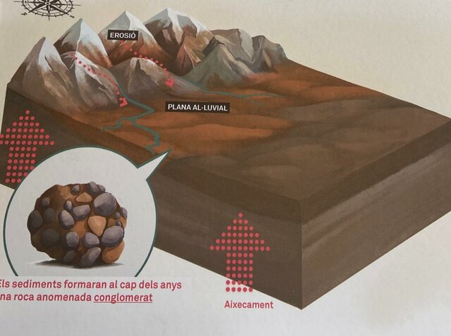EOCÈ SUPERIOR I OLIGOCÈ - 38 i 23 (MA)