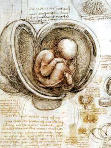 Emergencia del Garbha Upanishad