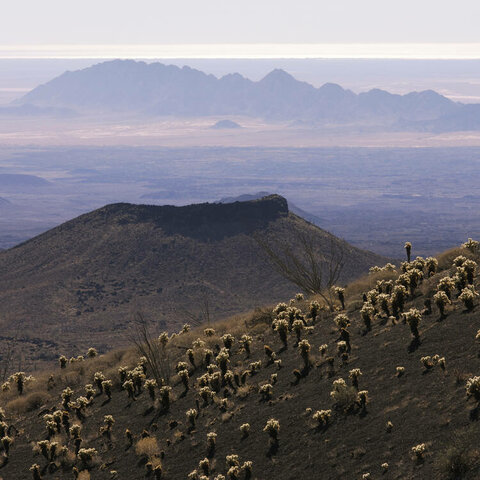 Reserva de la Biosfera El Pinacate y Gran Desierto de Altar