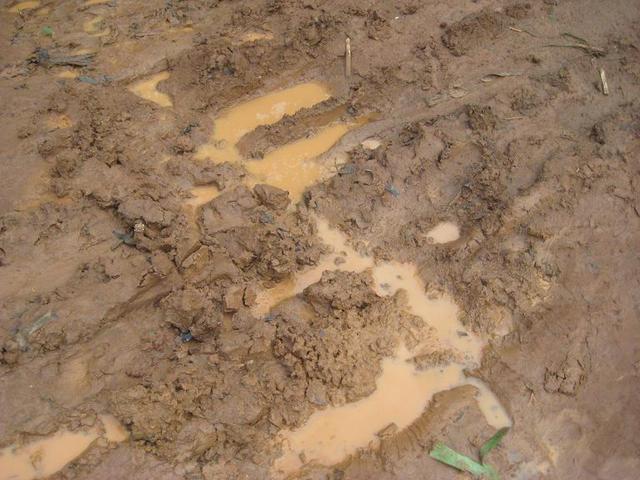 The Mud People of Midlands