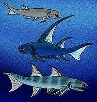 Aparición de los peces modernos