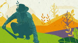 Timeline: Derecho agrario