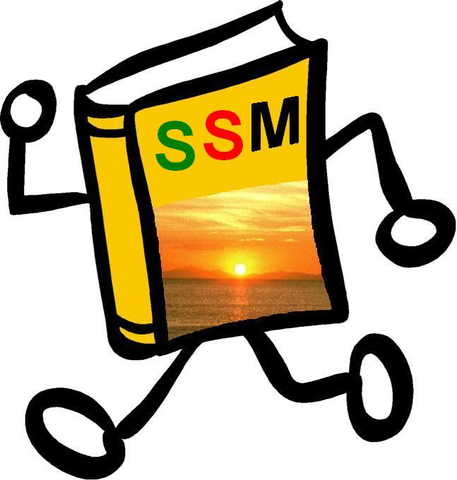 Metodología de los Sistemas Suaves (MSS), Peter Checkland.