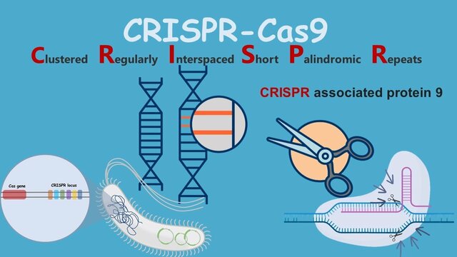 Aplicación in vivo de la técnica CRISPR