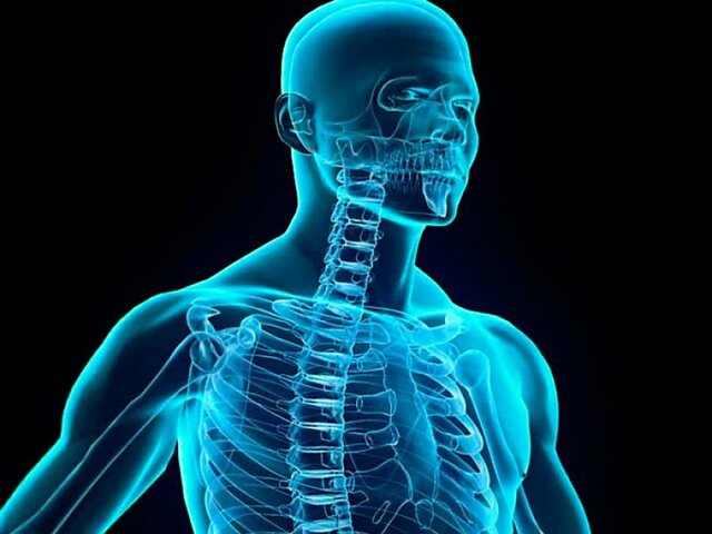 Planteamiento de la teoria