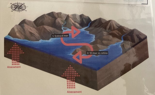 Eocè inferior (Als Pirineus)