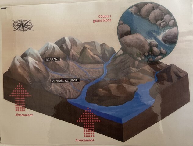 Eocè mig (Als Pirineus)
