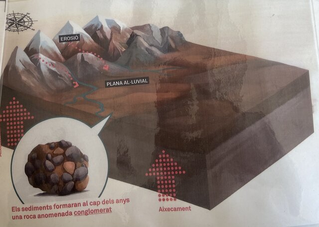 Eocè superior i Oligocè