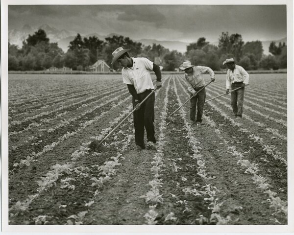 The Bracero Program
