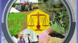 Timeline: Derecho Agrario