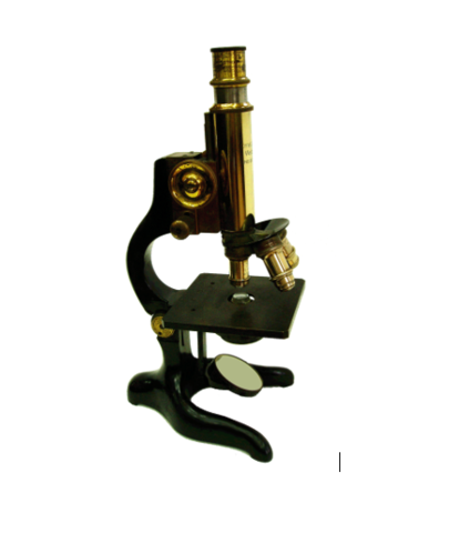 Microscopio de disección