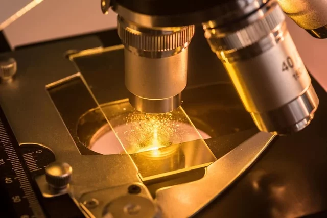 Microscopio Polarizado