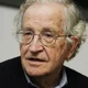 Noam chomsky 2010