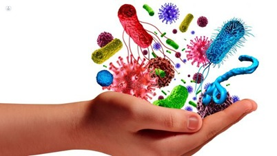 Enfermedades infecciosas