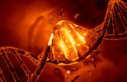 Medio ambiente y población en riesgo.