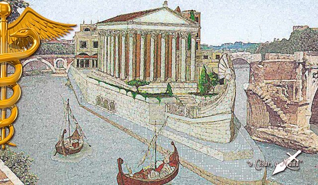 CREACIÓN DE LOS NOSOCOMIOS