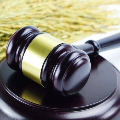 Timeline: Unidad II: Marco histórico de referencia del derecho agrario