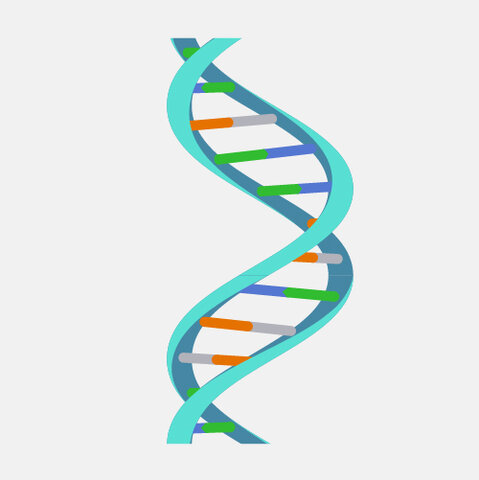 DNA chemical structure