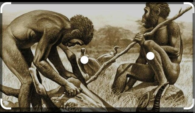 aparición de los homínidos
