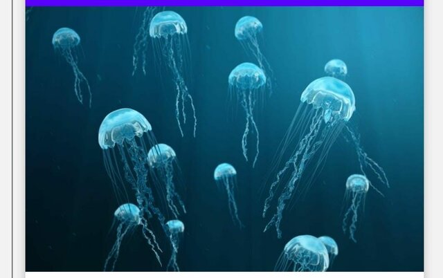 presurgimeinto de agrupaciones neuronales