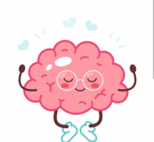 ¿Para qué o por qué surgió el cerebro?