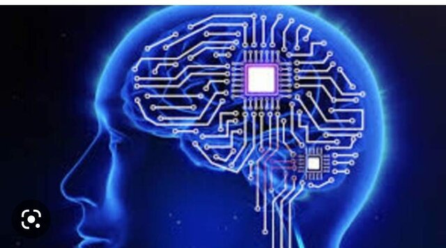 ¿Cómo será el cerebro humano en 5000 años?