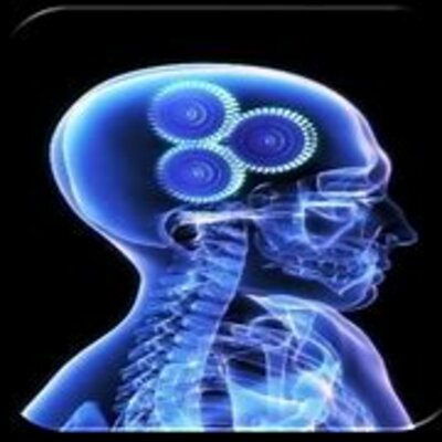 Timeline: Neurociencia