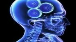 Timeline: Neurociencia