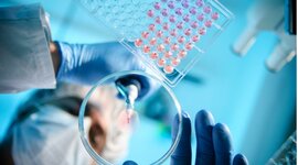 Timeline: AIbarra_Meta1