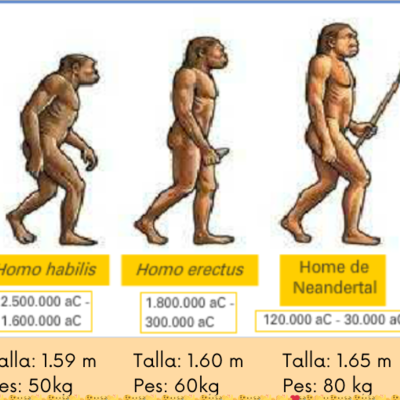 Timeline: prehistòria