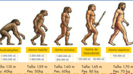 Timeline: prehistòria