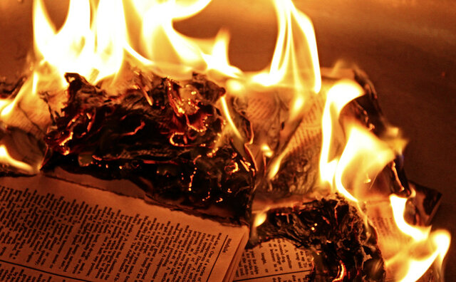 Holocaust Book Burning