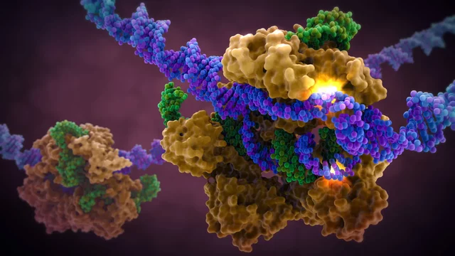 Revolución genética(CRISPR-Cas9)