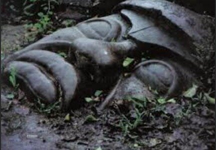 Caída de los olmecas