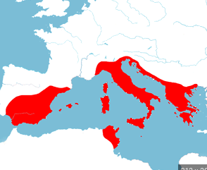 Second Period of Expansion (Rewards and Prices)