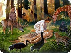 Adán, Eva y la creación.