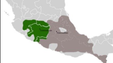 Surgimiento de los purépechas